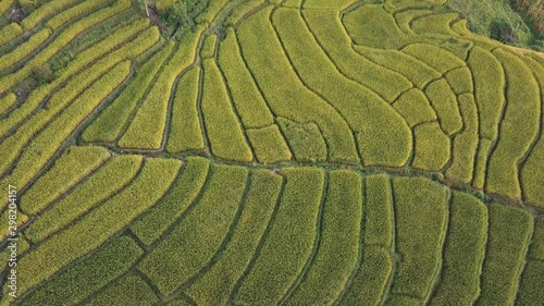 Rice terrace fields or Ladder rice field in aerial view at Pabongpeang , Maejam Village , Chaingmai Province of Thailand  photo