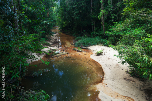 River and waterfall in Lambir, Borneo, Malaysia photo