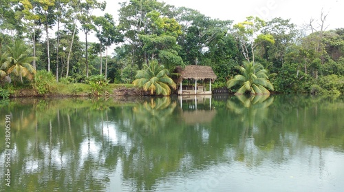 Still water  river  trees  green  sky  beautiful  nature