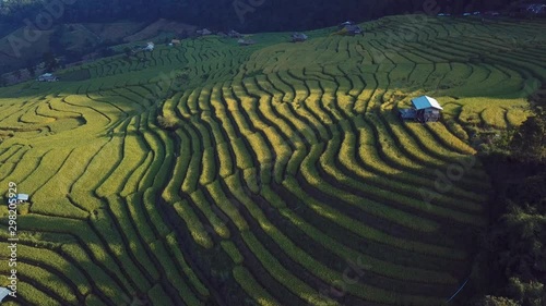 Rice terrace fields or Ladder rice field in aerial view at Pabongpeang , Maejam Village , Chaingmai Province of Thailand  photo