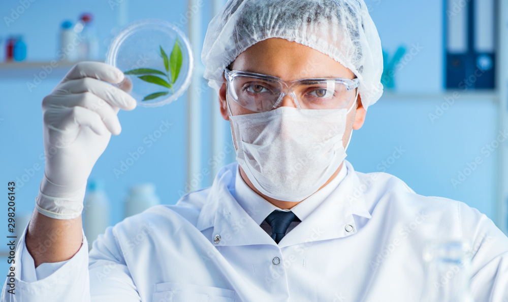Naklejka premium Female scientist researcher conducting an experiment in a labora