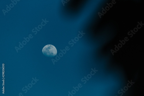 Fototapeta Naklejka Na Ścianę i Meble -  Moon in the sky during night