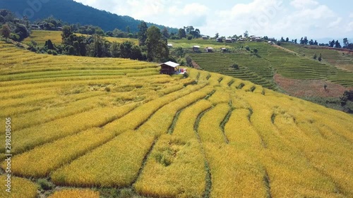 Rice terrace fields or Ladder rice field in aerial view at Pabongpeang , Maejam Village , Chaingmai Province of Thailand  photo