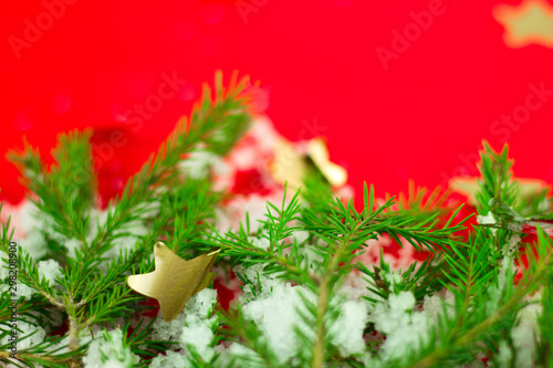 selective focus evergreen christmas tree branches covered with snow on a blurred red background with free space for text