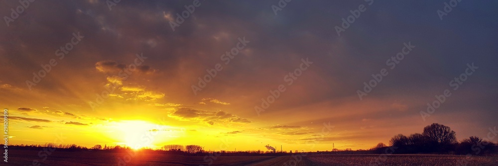 Panoramic sunset in a field