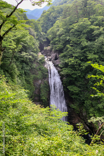 日本 秋保大滝 深緑