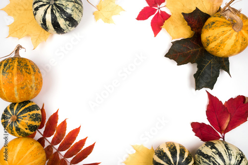 Pumkins and fall leaves decoration