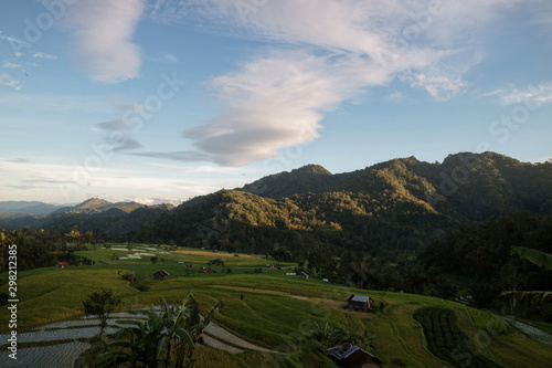 Rice Field view at one location in West Sumatera, Indonesia