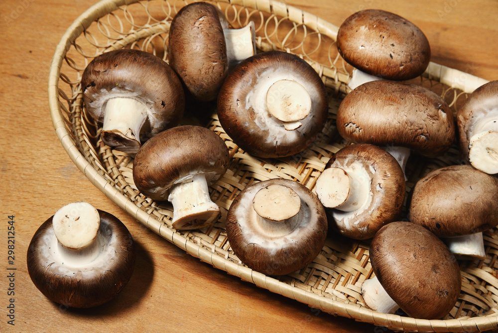 Obraz premium Royal champignons