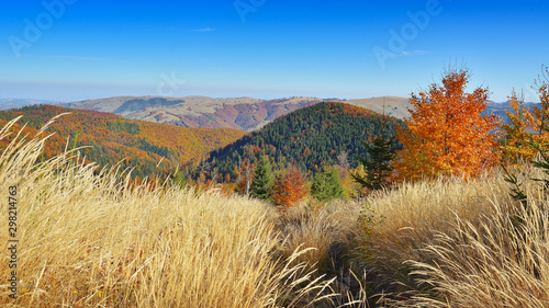 Autumn in the Carpathian Mountains - Transylvania  Romania