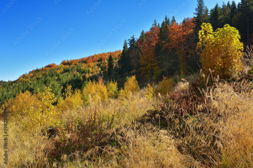 Autumn in the Carpathian Mountains - Transylvania, Romania Autumn in the Carpathian Mountains - Transylvania, Romania