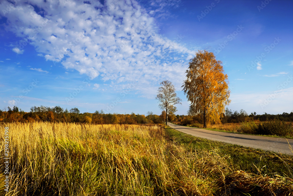 Naklejka premium Country road in the fall