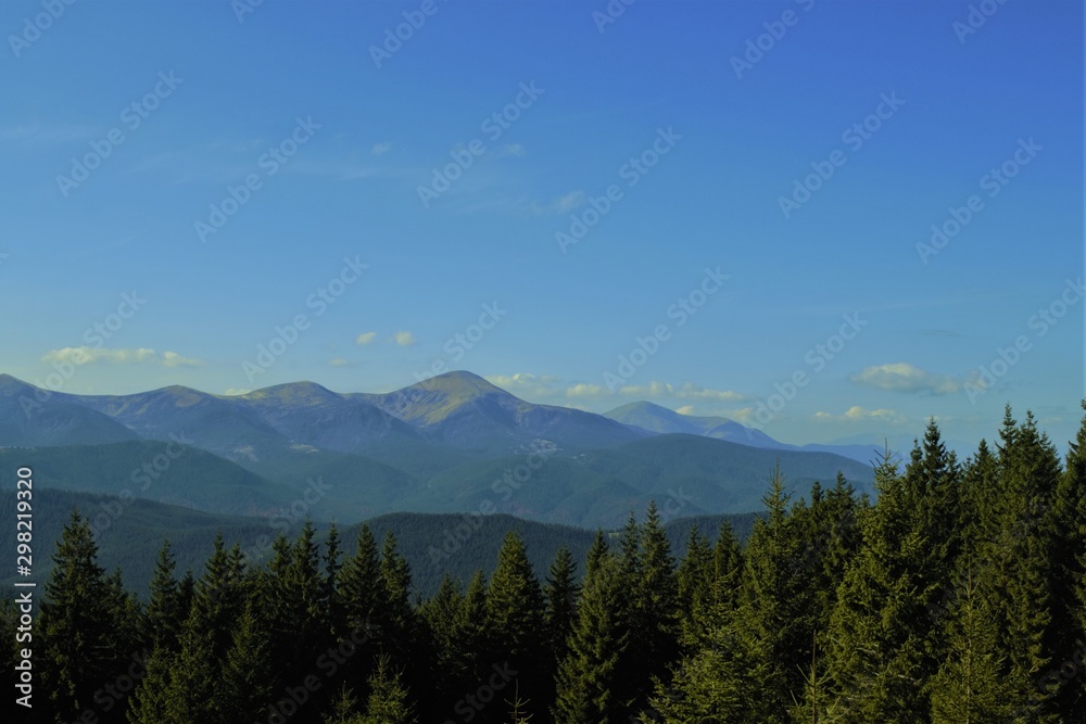 wooded slopes of the Carpathians