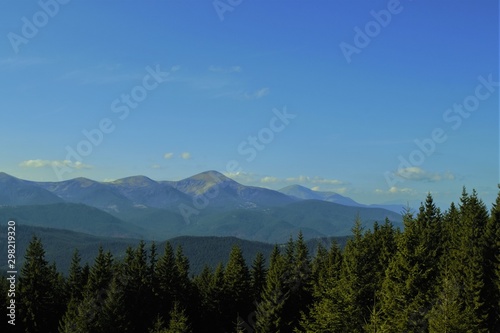 wooded slopes of the Carpathians
