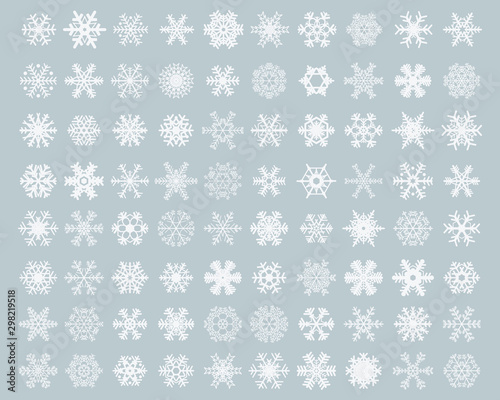 Set of different white snowflakes on a gray background