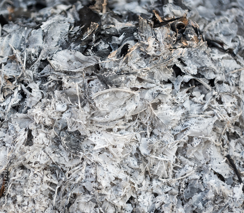 Ash texture.Burned out ashes grunge texture Ash texture.Burned out ashes grunge texture