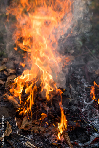 Burning fire of dried leaves