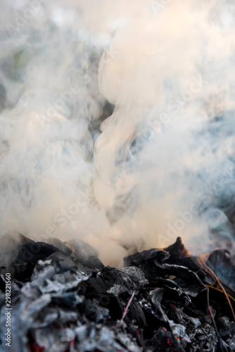 Burning fire of dried leaves