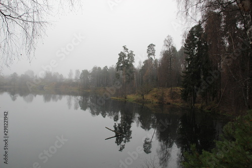 foggy morning on the river with forest on coast