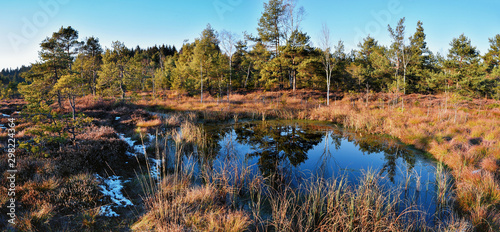 Naturlandschaft Mooshamer Moor mit Weiher, Heidekraut und Pinien photo