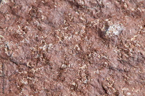 Grainy red stone texture. Natural backgrounds and textures. Decor and design. Top view.