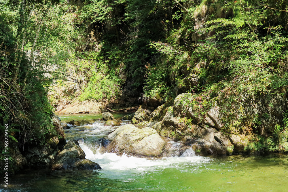 Fiume e cascata di acqua nel bosco sul sentiero delle meraviglie, Canton Ticino Fiume e cascata di acqua nel bosco sul sentiero delle meraviglie, Canton Ticino