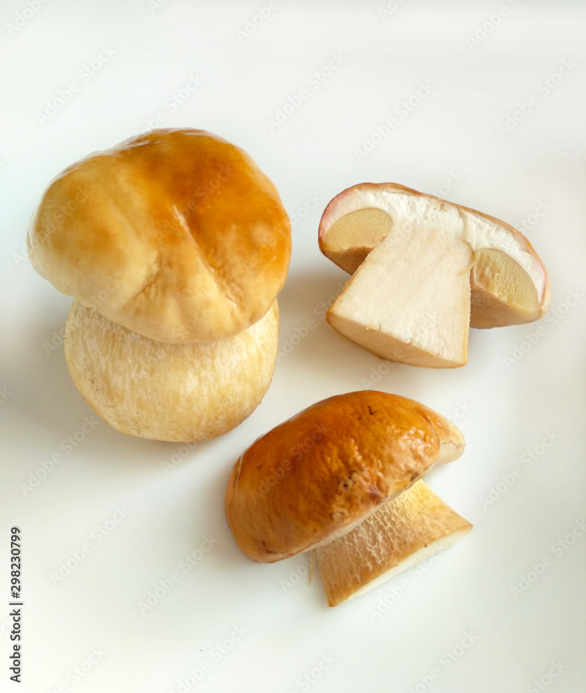 Boletus edulis mushrooms (king bolete, Porcino, cep) isolated on white plate, close up, selective focus. Boletus edulis mushrooms (king bolete, Porcino, cep) isolated on white plate, close up, selective focus.