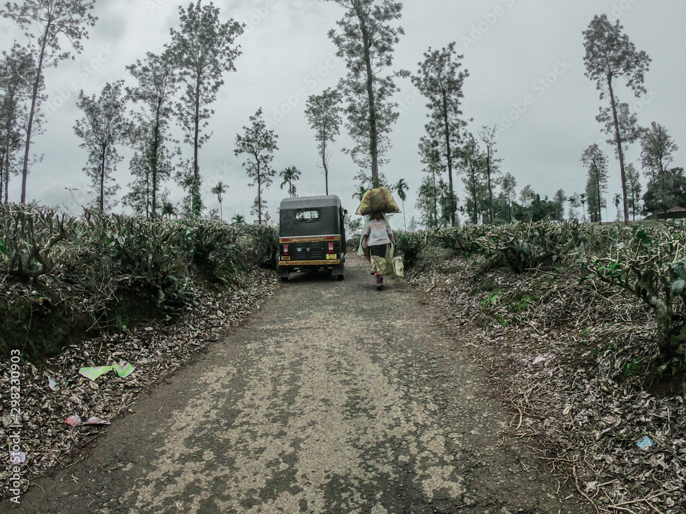 Munnar story