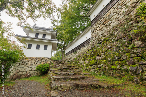 郡上八幡城　城壁　岐阜県郡上市　Gujo Hachiman Castle　Castle wall　Gifu Gujo city photo