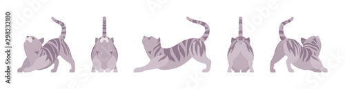 Grey striped Cat stretching. Active healthy kitten with mackerel tabby colored fur, cute funny pet, playful companion. Vector flat style cartoon illustration isolated, white background, different view
