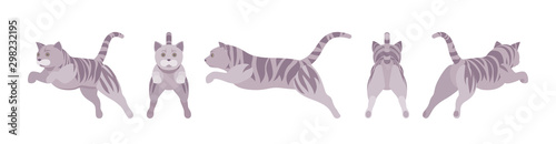 Grey striped Cat jumping. Active healthy kitten with mackerel tabby colored fur, cute funny pet, playful companion. Vector flat style cartoon illustration isolated, white background, different views