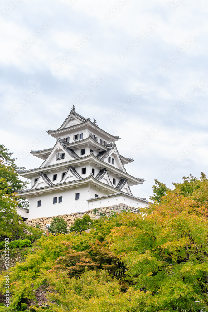 郡上八幡城 岐阜県郡上市 Gujo Hachiman Castle Gifu Gujo city 郡上八幡城 岐阜県郡上市 Gujo Hachiman Castle Gifu Gujo city