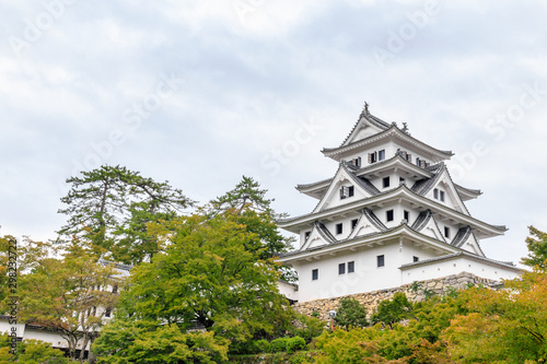 郡上八幡城 岐阜県郡上市 Gujo Hachiman Castle Gifu Gujo city