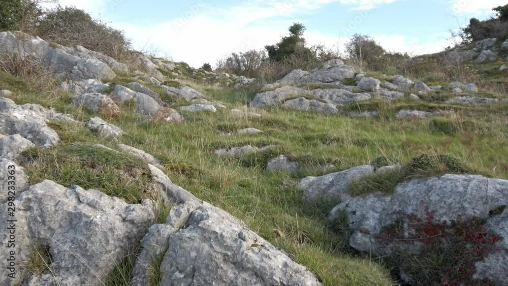 Lake district coastal limestone hillside slope boulder formation wildflower landscape. Slow rising jib shot. Lake district coastal limestone hillside slope boulder formation wildflower landscape. Slow rising jib shot.