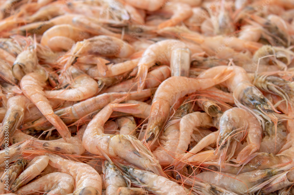 Newly fished shrimps on the countertop close up. Newly fished shrimps on the countertop close up.