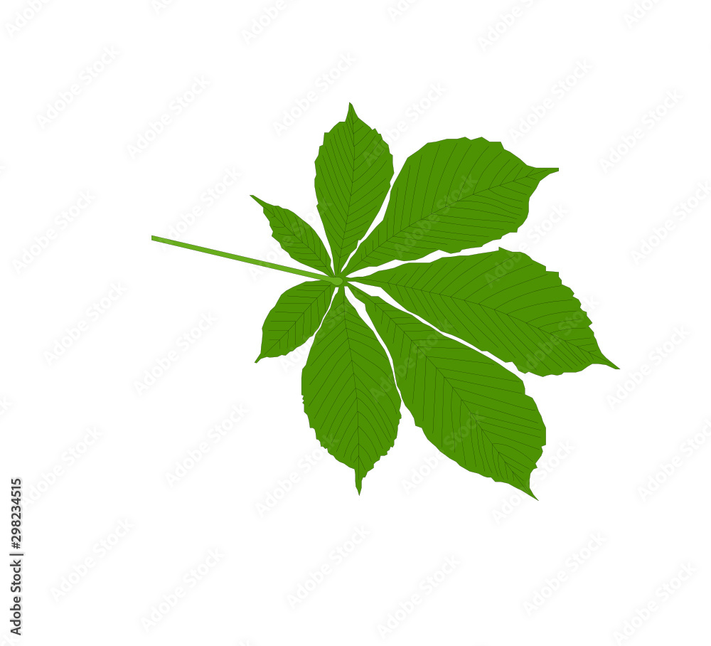 Chestnut leaves - simple illustration computer designed.