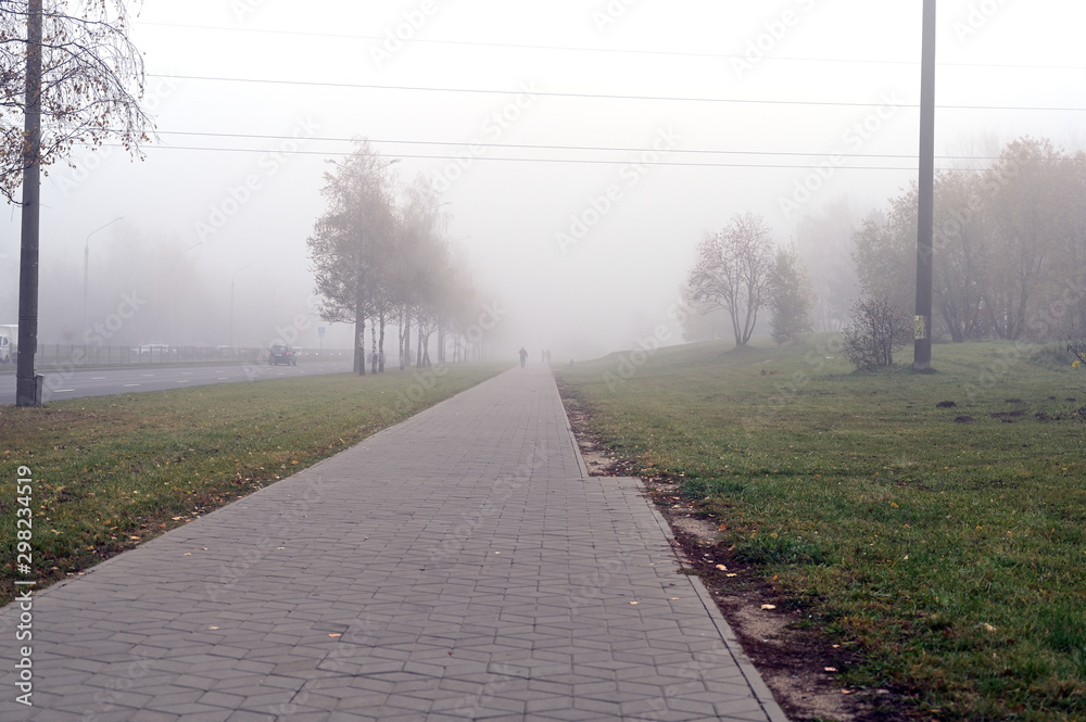 Photo of autumnal nature in the fog. Cloudy weather, boring mood.