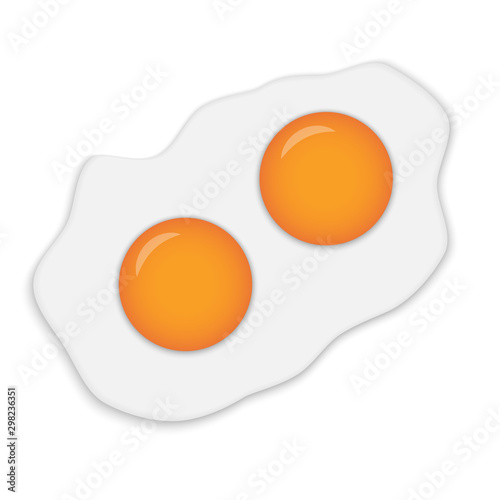Realistic Fried Egg isolated