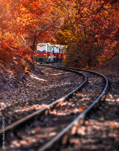 Budapest, Hungary - Children's railway on the S curve track in the Hungarian woods of Huvosvolgy with beautiful orange and red colored autumn forest, leaves and foliage