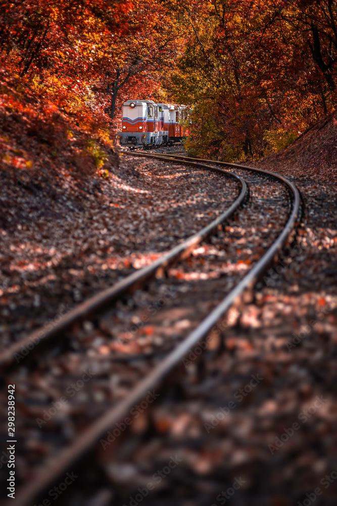 Budapest, Hungary - Beautiful autumn scenery with the Children's train on the S curve track in the Hungarian woods of Huvosvolgy with colorful orange and red colored autumn forest, leaves and foliage