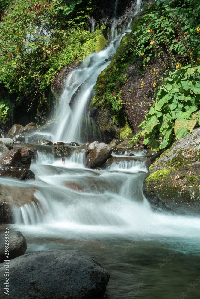 Obraz premium 夏の滝