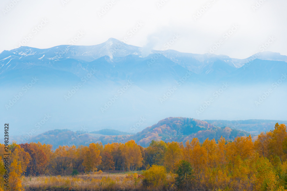 雪山と紅葉 雪山と紅葉