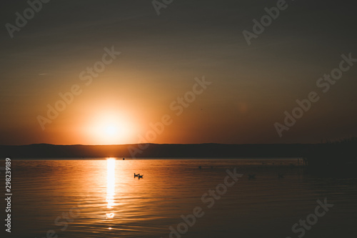 Podersdorf am See, Austria.