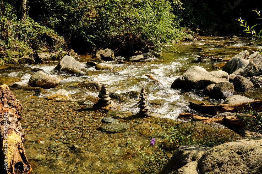 Fiume nel bosco sul sentiero delle meraviglie, Canton Ticino Fiume nel bosco sul sentiero delle meraviglie, Canton Ticino