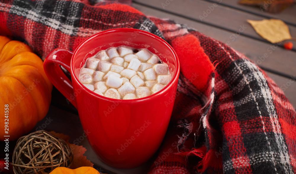 Red cup of cocoa with marshmallow, decorative pumpkin. Autumn mood, warming drink. Cozy atmosphere Red cup of cocoa with marshmallow, decorative pumpkin. Autumn mood, warming drink. Cozy atmosphere