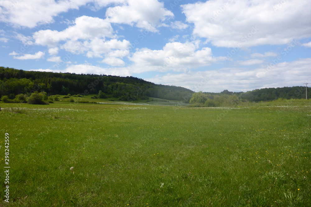 les fleurs, les arbres et les paysages