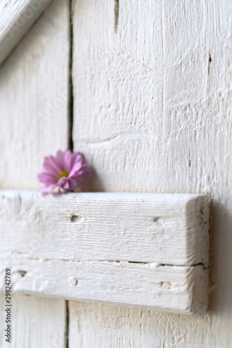 White wooden shabby shutter with colorful garden flower
