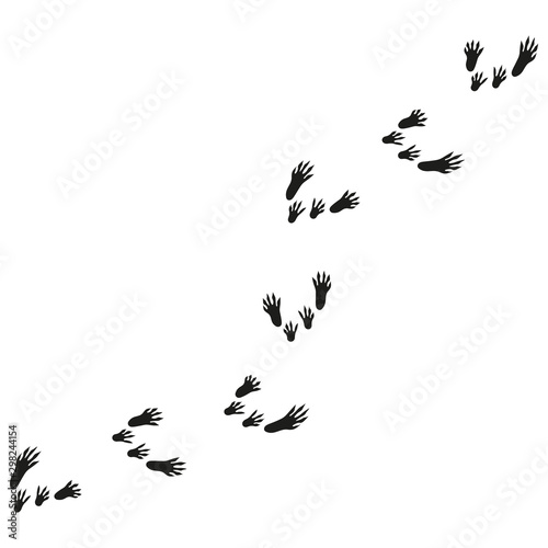 illustration with rat tracks. rat footprints.