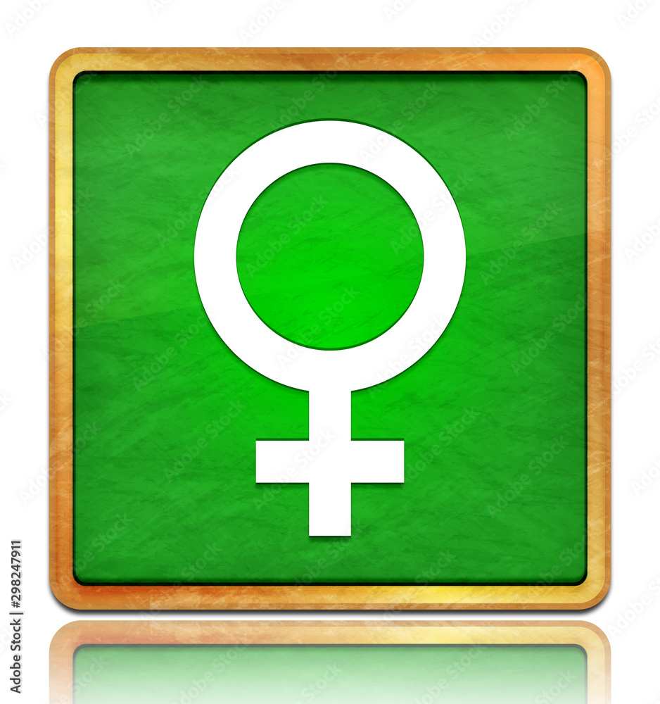Female symbol icon chalk board green square button slate texture wooden frame concept isolated on white background with shadow reflection Female symbol icon chalk board green square button slate texture wooden frame concept isolated on white background with shadow reflection