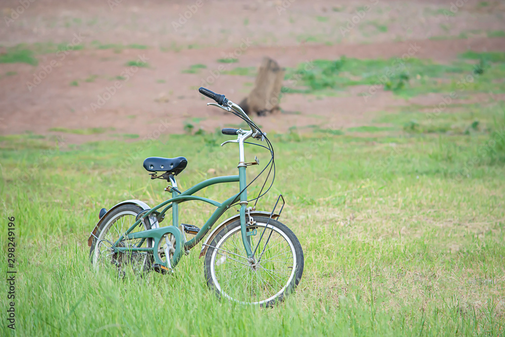 Green bicycle parked on the lawn.
